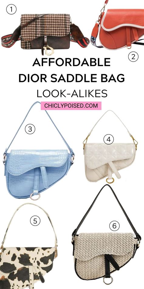 saddle bag dupe|dior saddle bags look alikes.